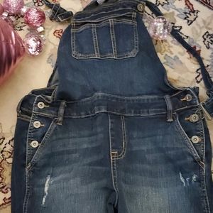 Torrid farm coveralls distressed sz. 12